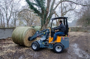 Giant G1100